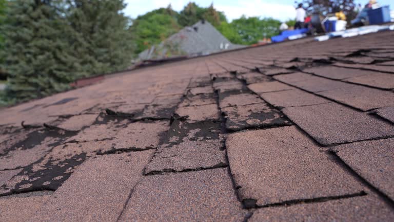 Roof Insulation Installation in Newburgh, IN